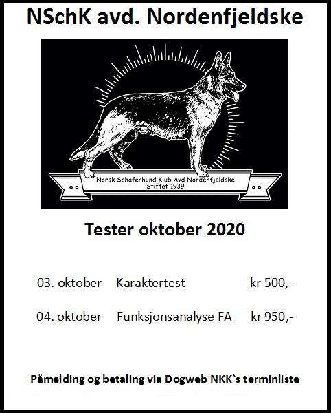 TESTER_2020_-_Kopi